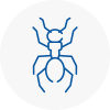 Ant Removals In Essex