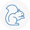 Essex Rodent Removals